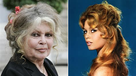 age brigitte|Brigitte Bardot